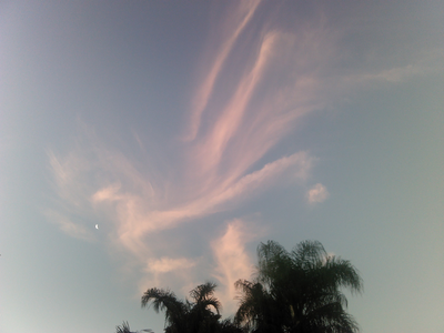 sunset-newhouse.jpg